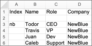 input-csv-block-one-in-xlsx.png