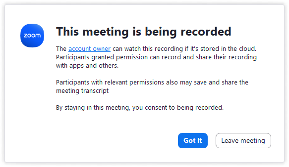 A screenshot of a video call

Description automatically generated